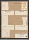 Fragilaria capucina Desm. (de-Toni-Nr.: Genus 73, Species 2734) Zeichnungen Sammlung Grunow Nr. 5586 (NHMW-BOT-W0374059)